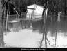 '78 flood