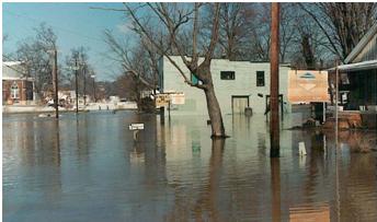 February 1989 flooding in Lebanon Junction