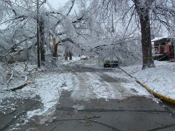 Bluegrass 2003 icestorm