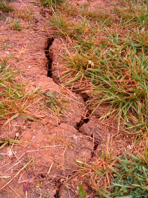 Kentucky drought