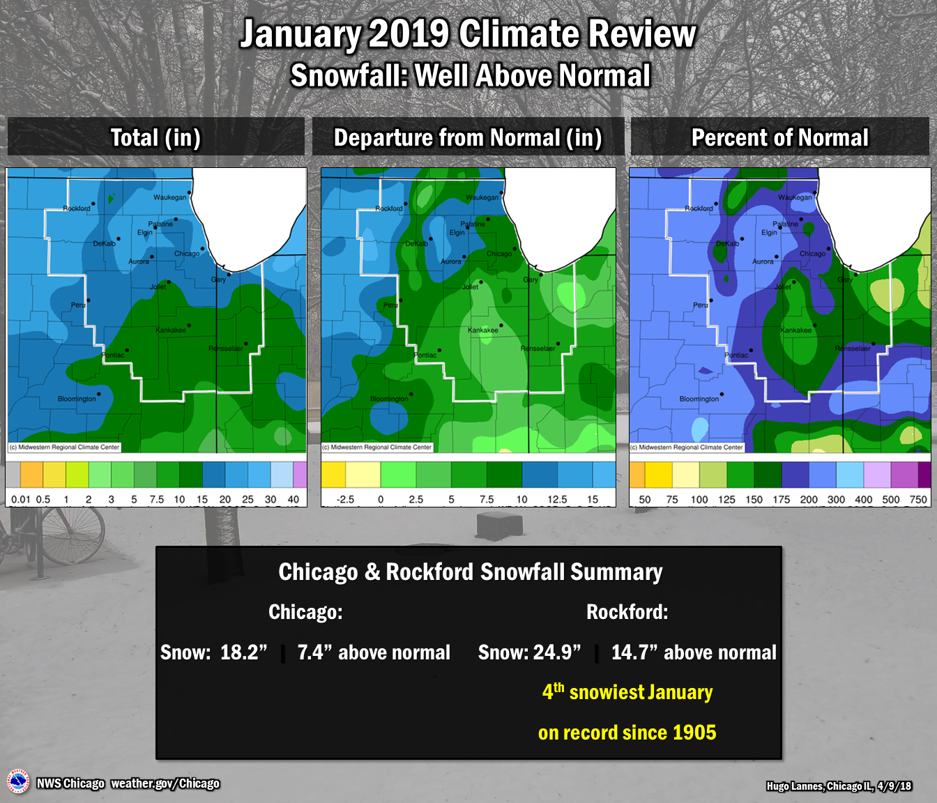 January 2019 Snowfall