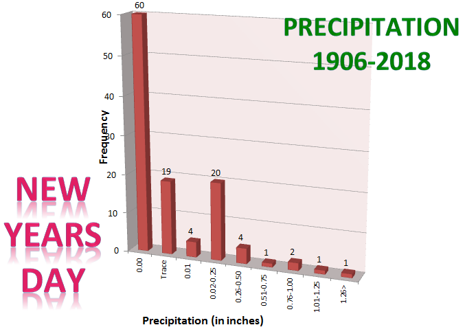 Precipitation on New Years Day at Rockford