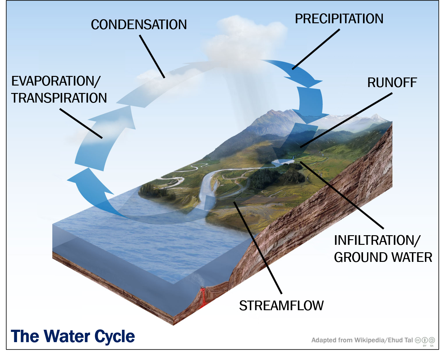 Graphic showing the water cycle and it's components. Precipitation falls to the surface turning into runoff or infiltration, streamflow moves toward lakes and oceans, evaporation and transpiration transitions water into water vapor in the amtmosphere, water vapor condenses to form clouds, precipitation falls from clouds.