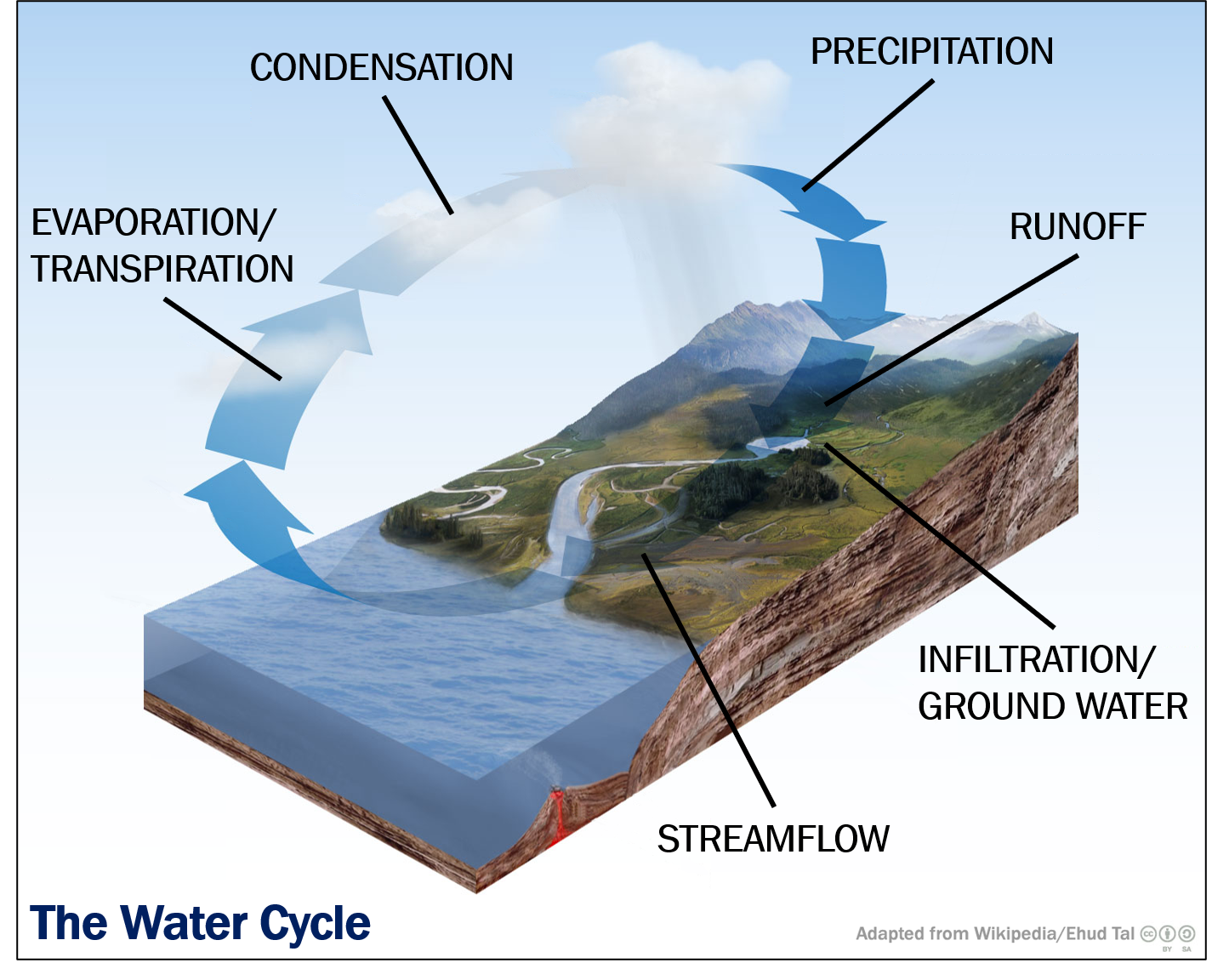 precipitation water cycle