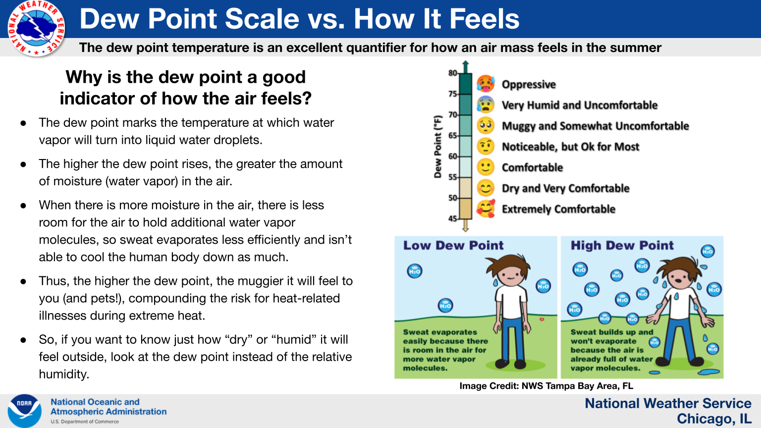 Why is the dew point a good  indicator of how the air feels? The dew point marks the temperature at which water vapor will turn into liquid water droplets. The higher the dew point rises, the greater the amount of moisture (water vapor) in the air. When there is more moisture in the air, there is less room for the air to hold additional water vapor molecules, so sweat evaporates less efficiently and isn’t able to cool the human body down as much. Thus, the higher the dew point, the muggier it will feel to you (and pets!), compounding the risk for heat-related illnesses during extreme heat. So, if you want to know just how “dry” or “humid” it will feel outside, look at the dew point instead of the relative humidity.