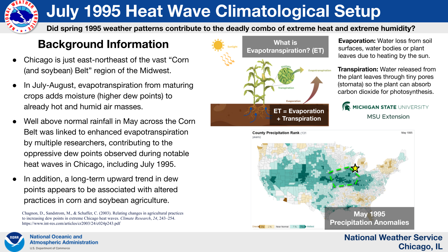 A 2003 research paper found that late spring rainfall anomalies in the "Corn Belt" region of the Midwest correlate to increased levels of evapotranspiration from crops during the mid-late summer. Enhanced evapotranspiration leads to increased quantities of moisture being emitted into the air, resulting in higher dew points and relative humidity. Thus, the above normal rainfall observed in the region in May 1995 likely played a role in why the dew points in mid-July 1995 were as oppressively high as they were. Image also includes an explanation of evapotranspiration, which is the combination of evaporation and transpiration from plants. 