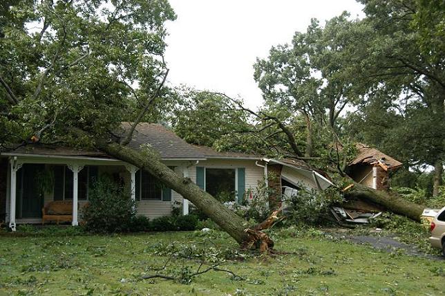 Tree Damage to Garage and House