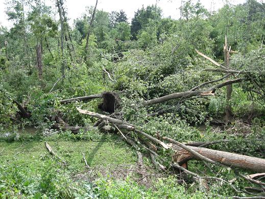 Photo of tornado damage in Chesterton