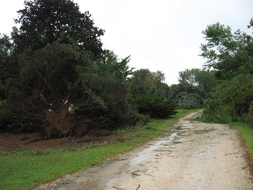 Photo of tornado damage near Elburn