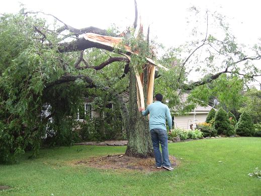 Photo of tornado damage near Elburn