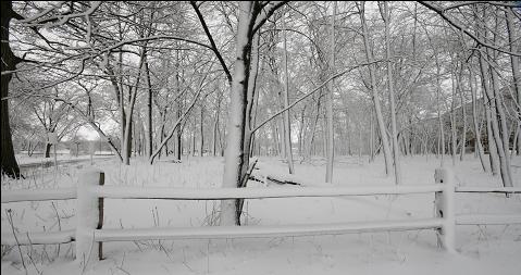 Photo from NIU