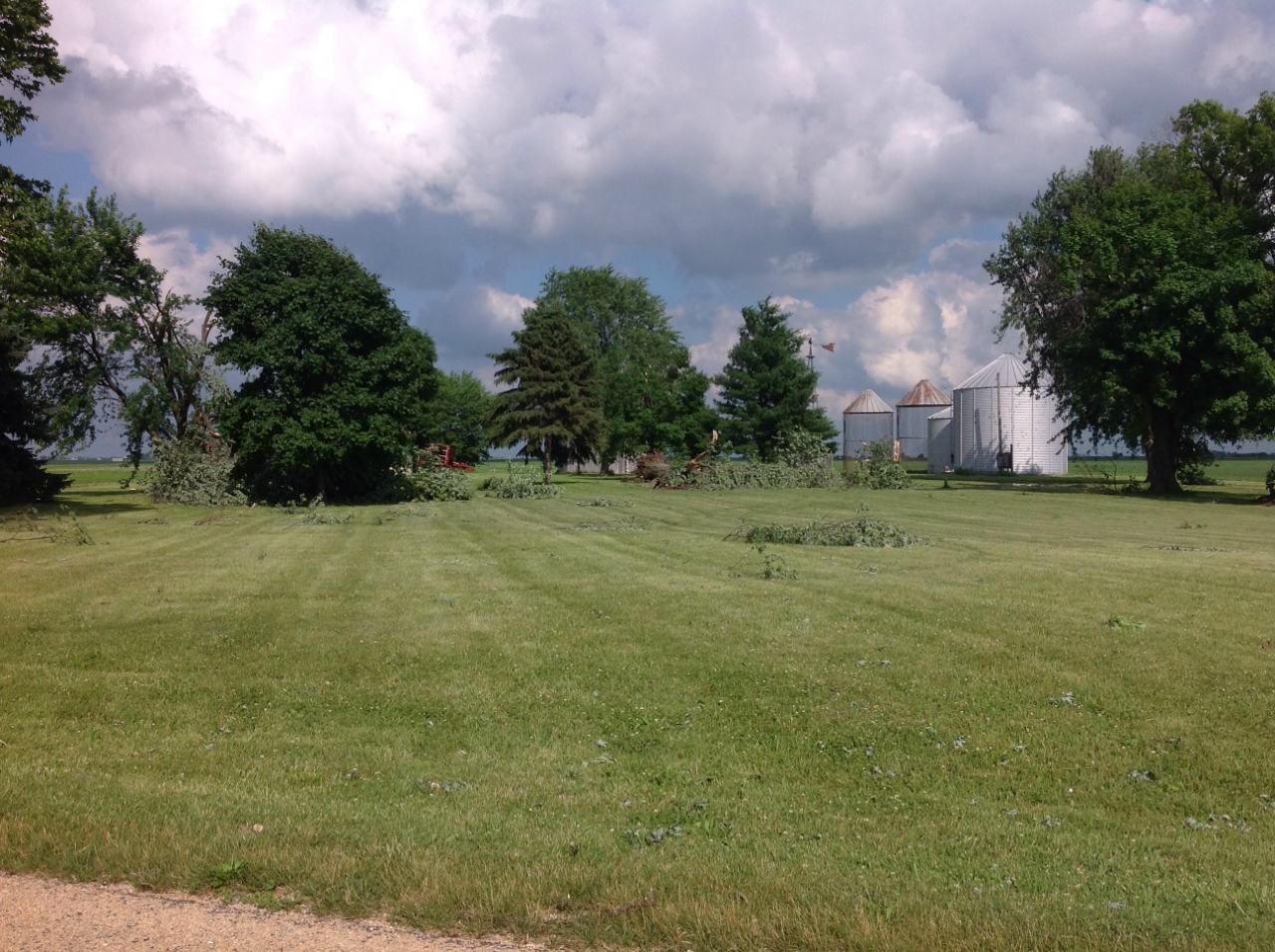 Photo showing tree damage from Earlville tornado