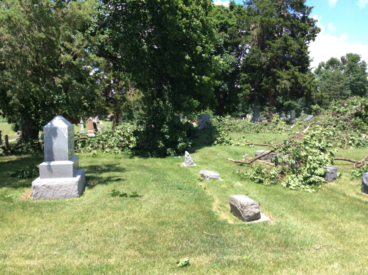 Photo showing tree damage from the Troy Grove tornado