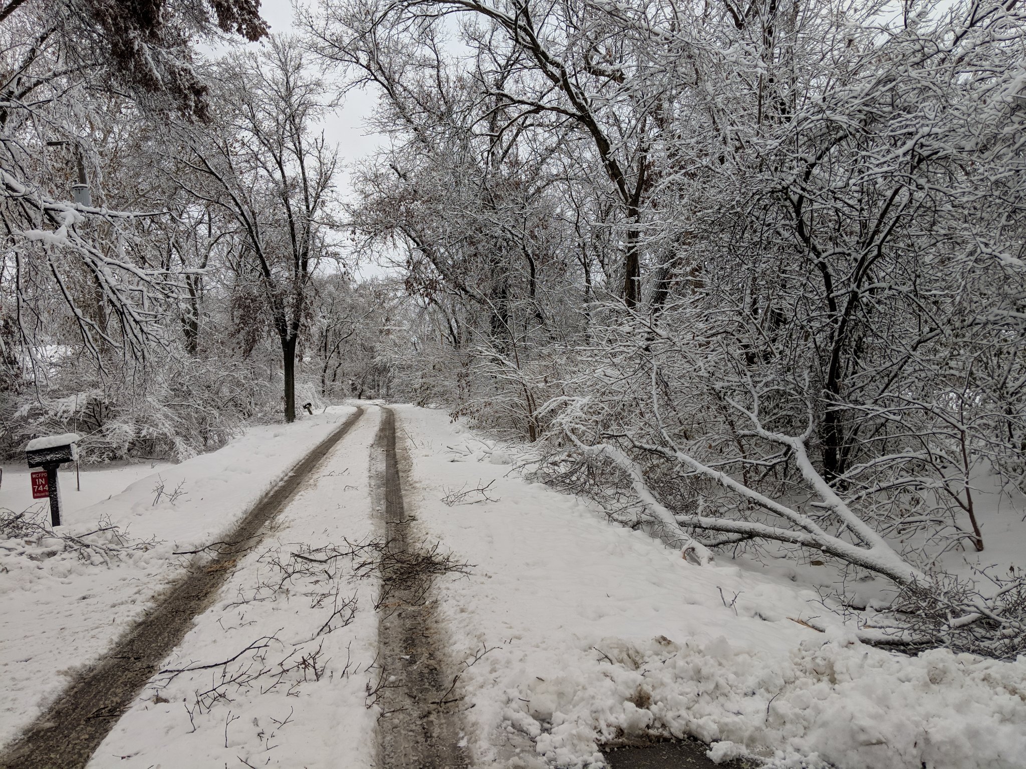 Photo by mark Gottlieb - West Chicago
