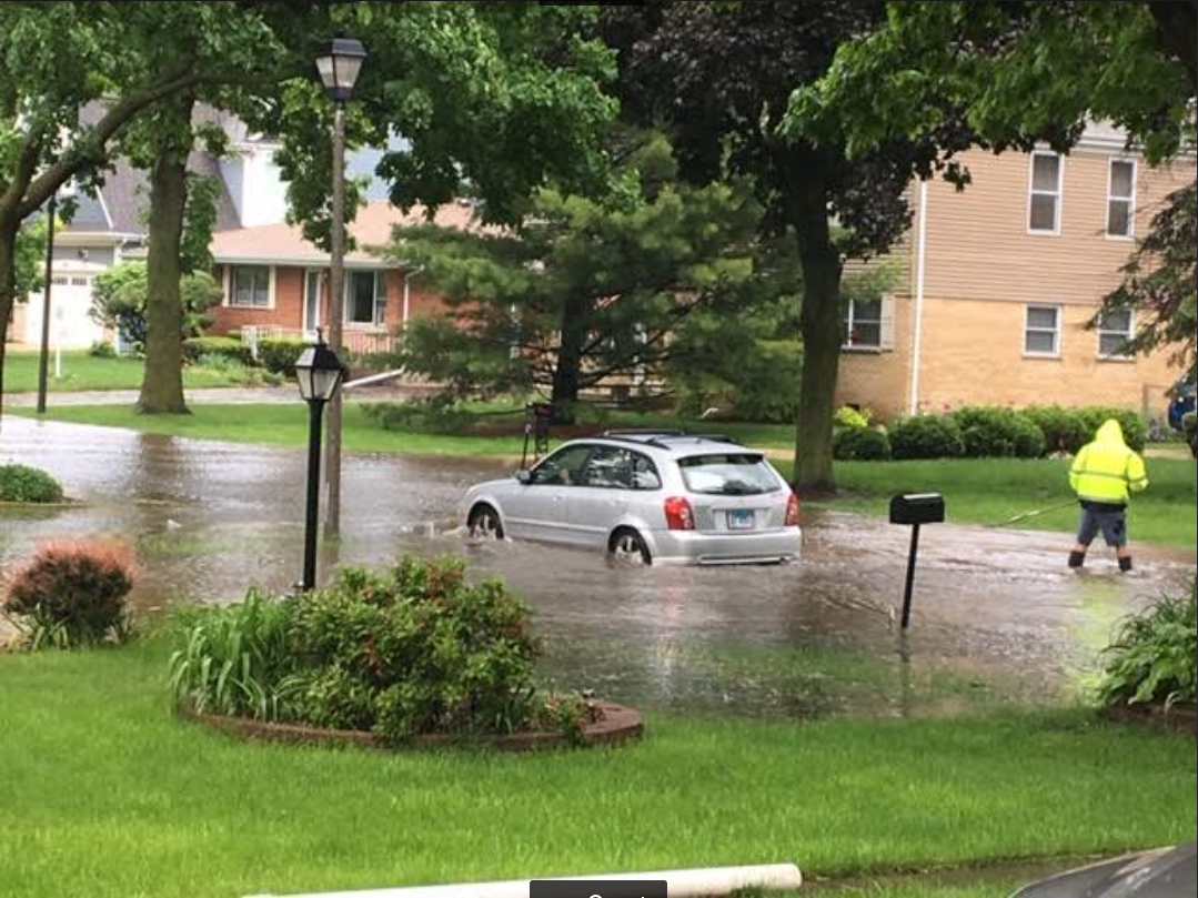 Photo from Dolph Zielinski - Elmhurst, IL