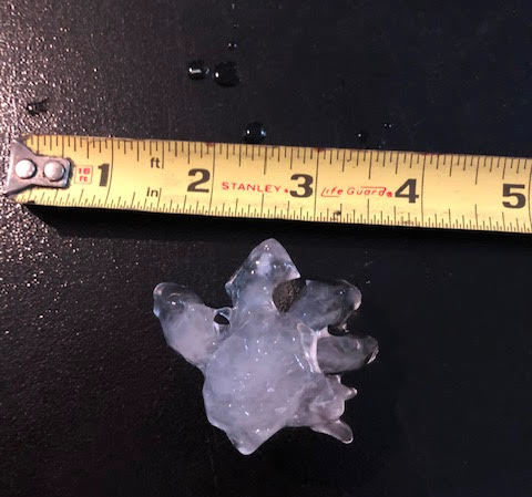 Hail from Fowler IN from Jason Fisher