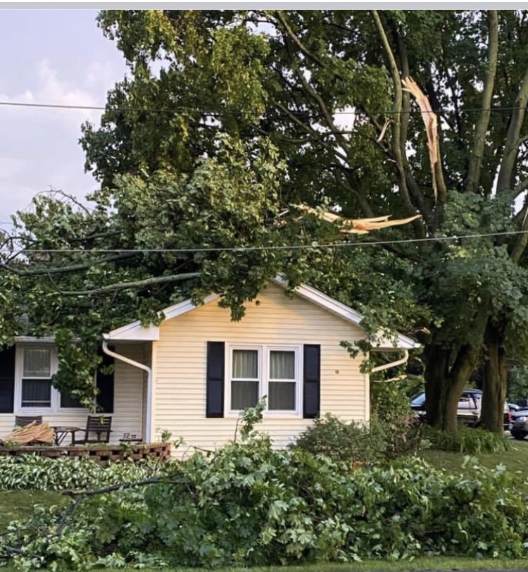 Wind Damage