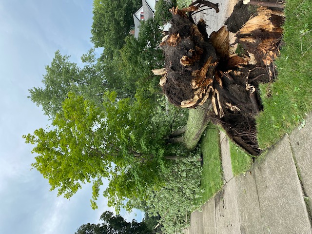 Kankakee damage