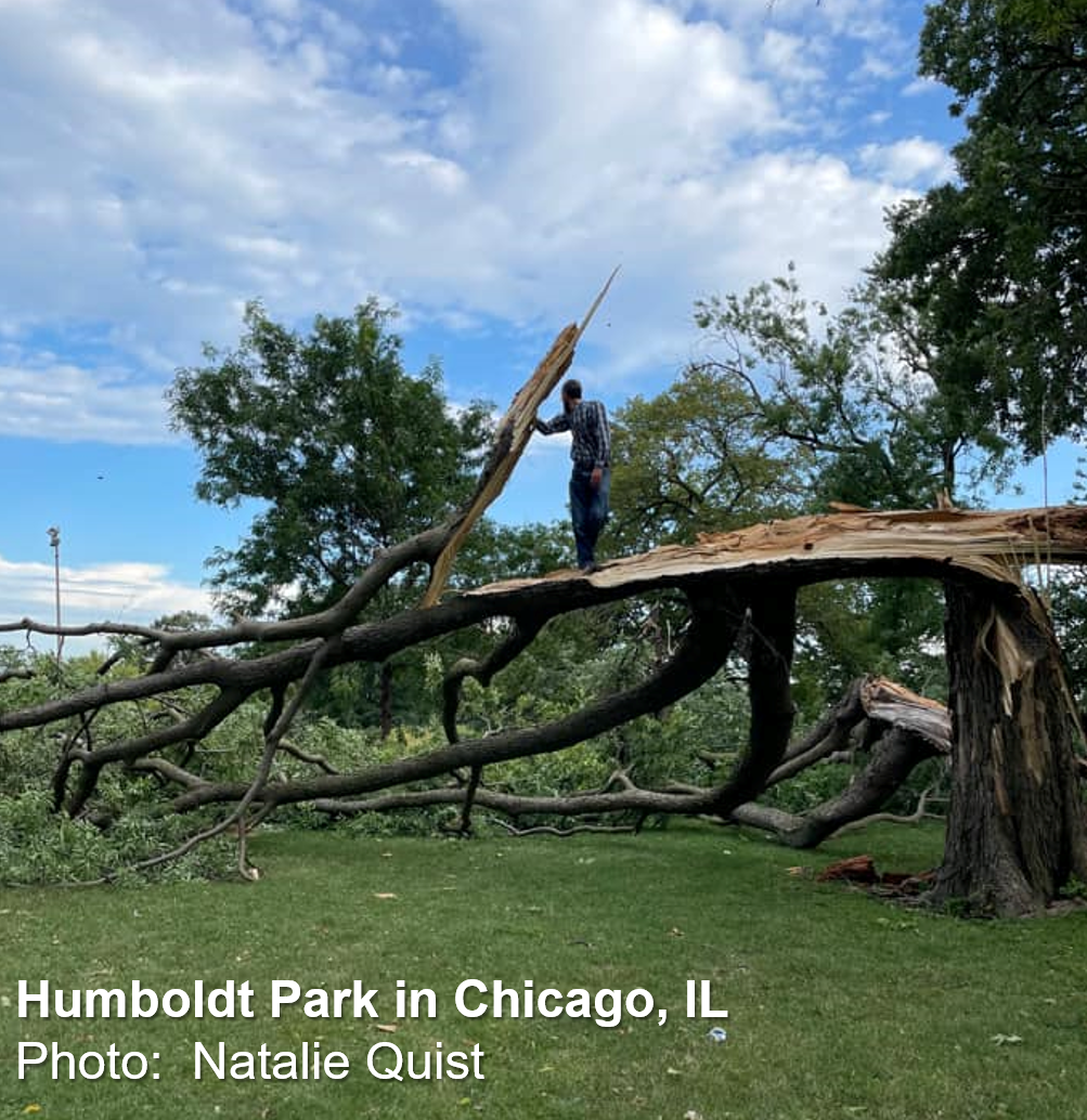 Humboldt Park
