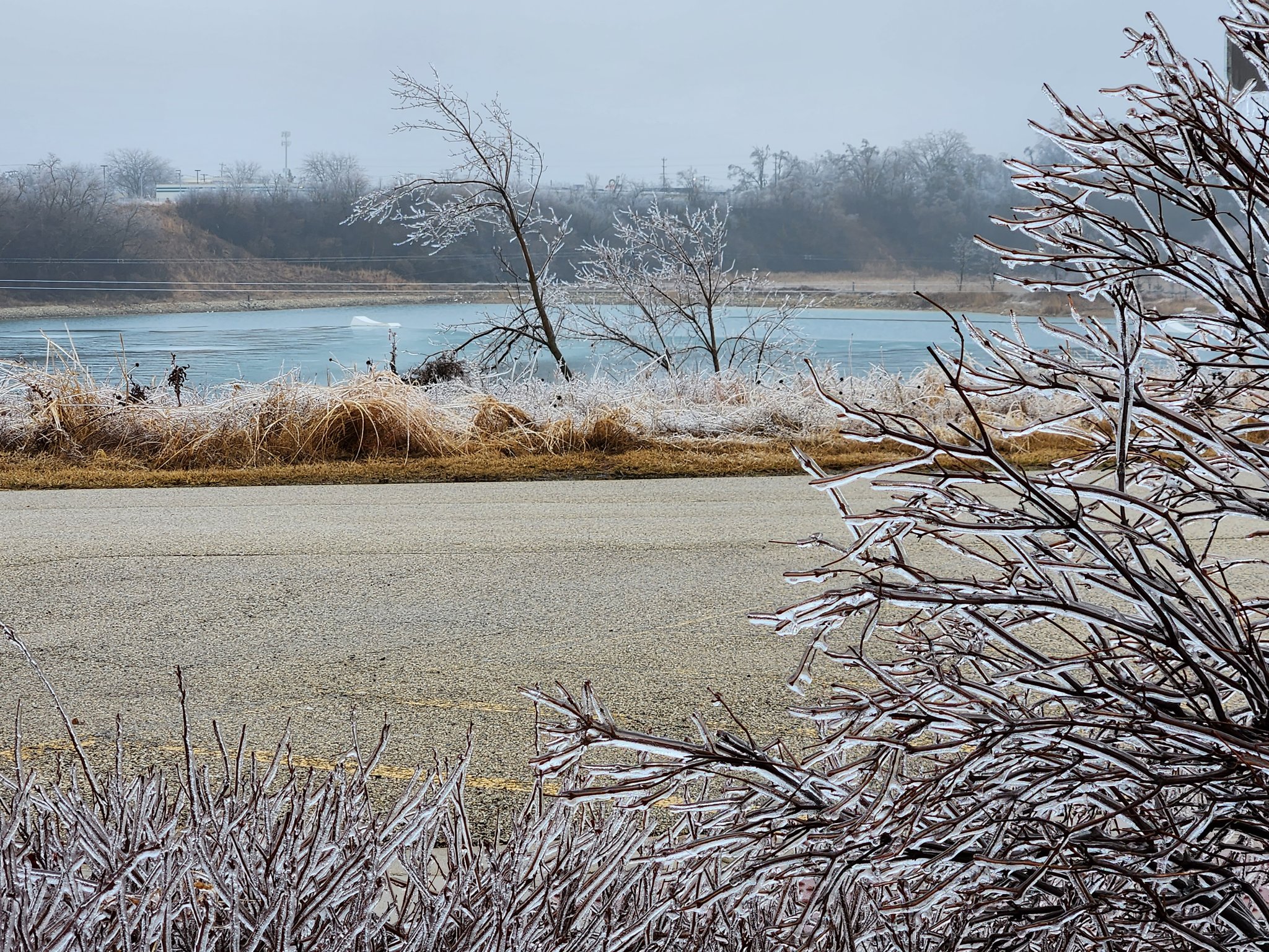 Photo showing damage caused by freezing rain in Crystal Lake, IL