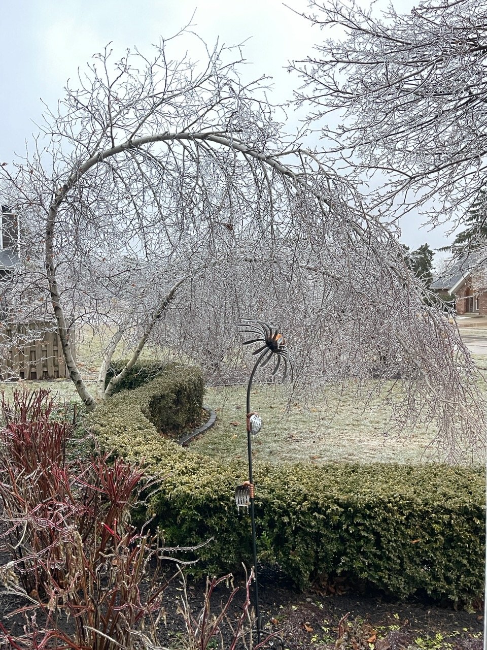 Photo showing damage caused by freezing rain in Lakewood, IL