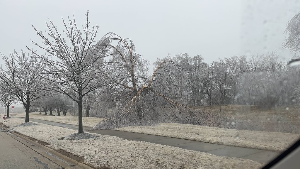 Photo showing damage caused by freezing rain near Wonder Lake, IL