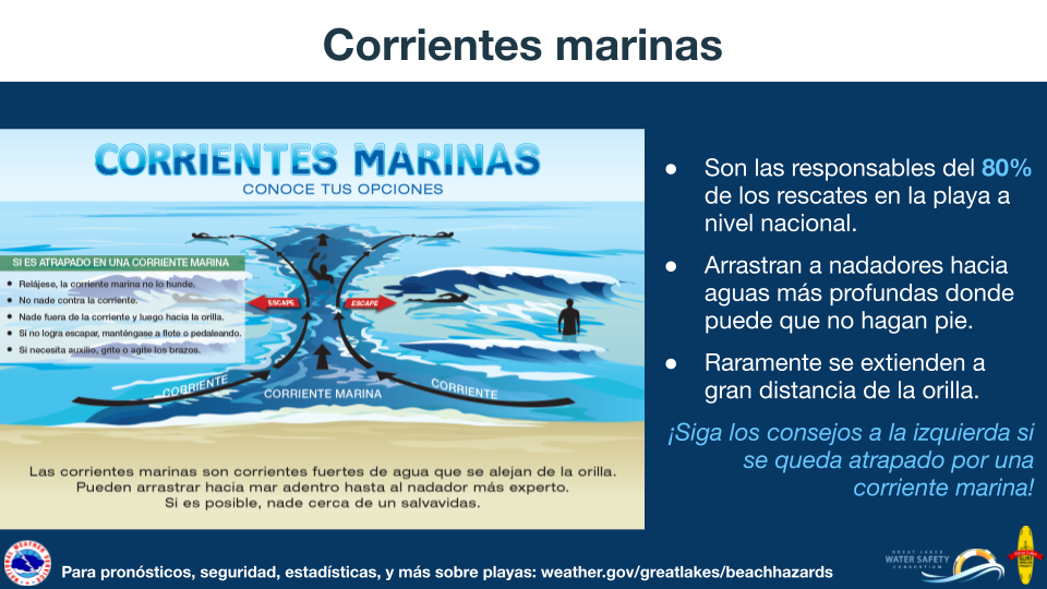 Las corrientes marinas: son las responsables del 80% de los rescates en la playa a nivel nacional. Arrastran a nadadores hacia aguas mÃ¡s profundas donde puede que no hagan pie. Raramente se extienden a gran distancia de la orilla. Â¡Siga los consejos a la izquierda si se queda atrapado por una corriente marina!  Corrientes Marinas: conoce tus opciones. Si es atrapado en una corriente marina: RelÃ¡jese, la corriente marina no lo hunde. No nade contra la corriente. Nada fuera de la corriente y luego hacia la orilla. Si no logra escapar, mantÃ©ngase a flote o pedaleando. Si necesita auxilio, grite o agite los brazos. Las corrientes marinas son corrientes fuertes de agua que se alejan de la orilla. Pueden arrastrar hacia mar adentro hasta al nadador mÃ¡s experto. Si es posible, nade cerca de un salvavidas. Para pronÃ³sticos, seguridad, estadÃ­sticas, y mÃ¡s sobre playas visite: weather.gov/greatlakes/beachhazards