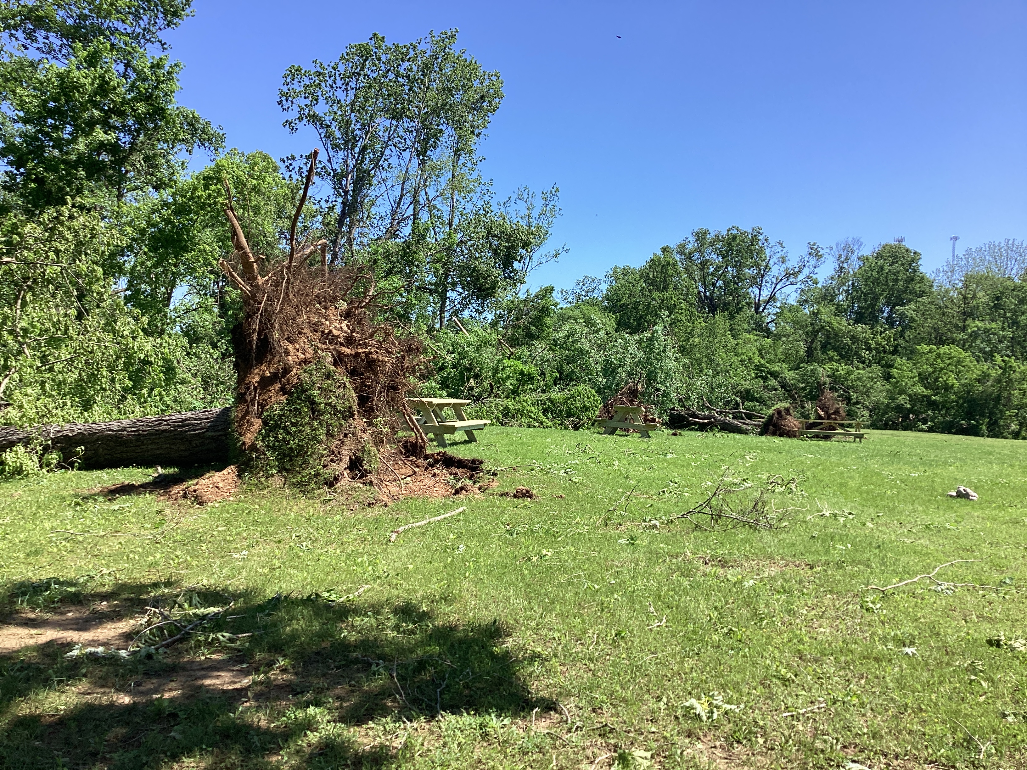 Photo of tornado damage in Annapolis