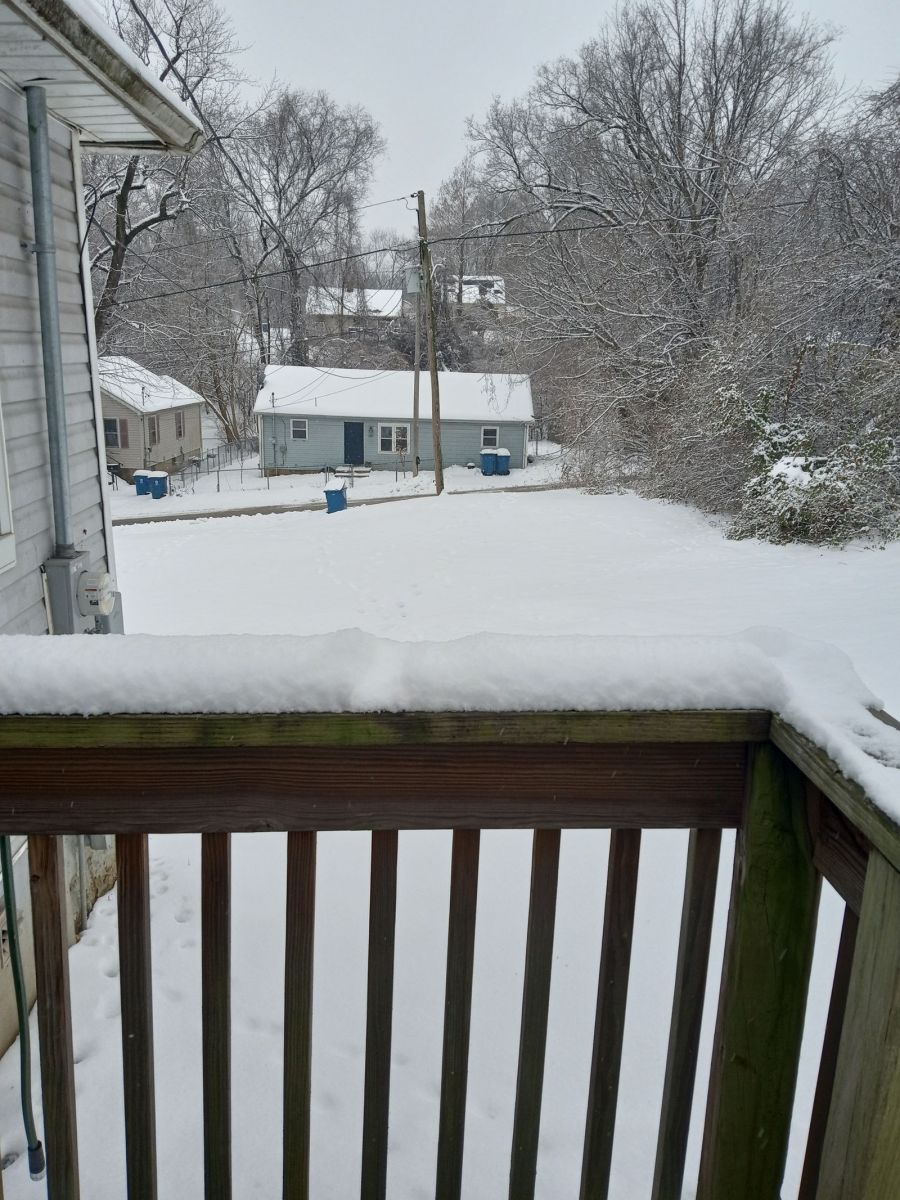 Photo of snowfall in Alton, IL.