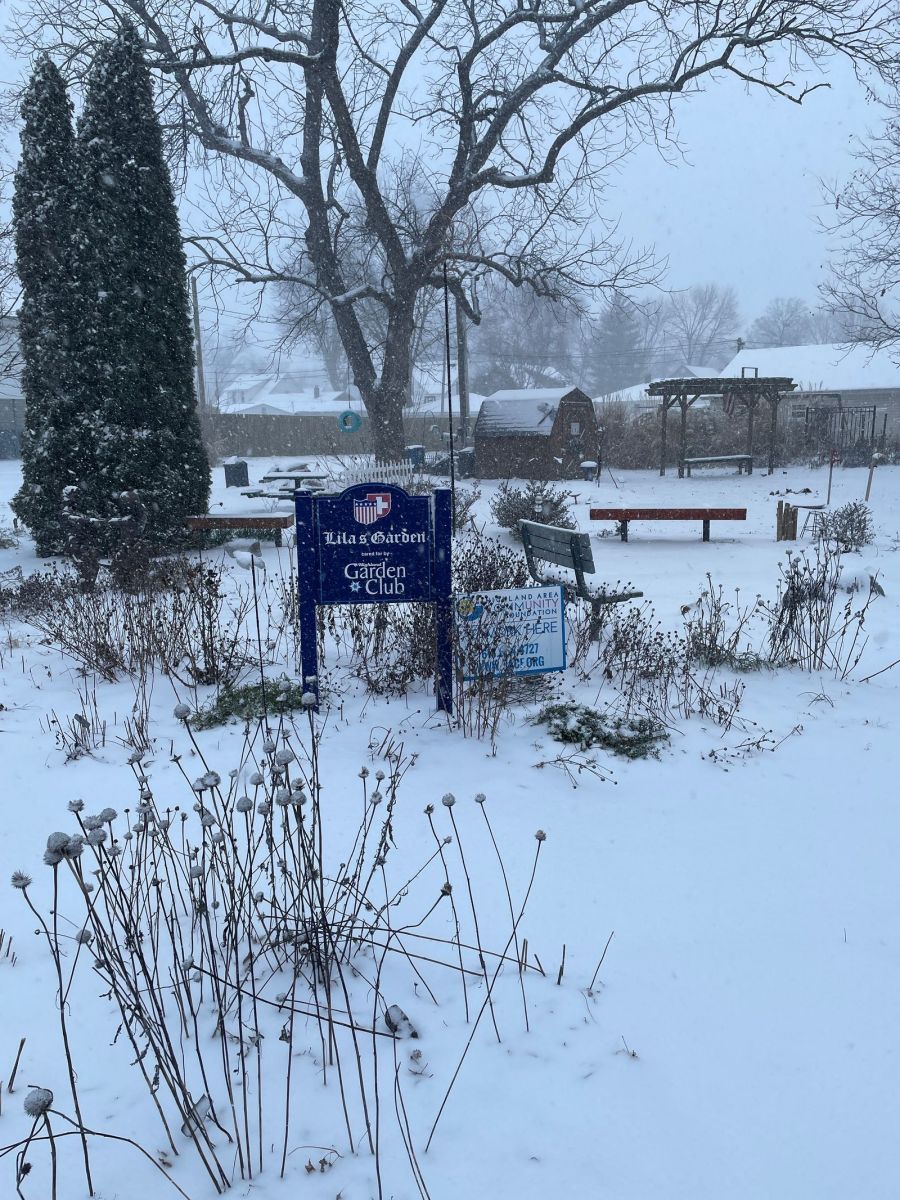 Photo of heavy snow falling in Highland, IL.