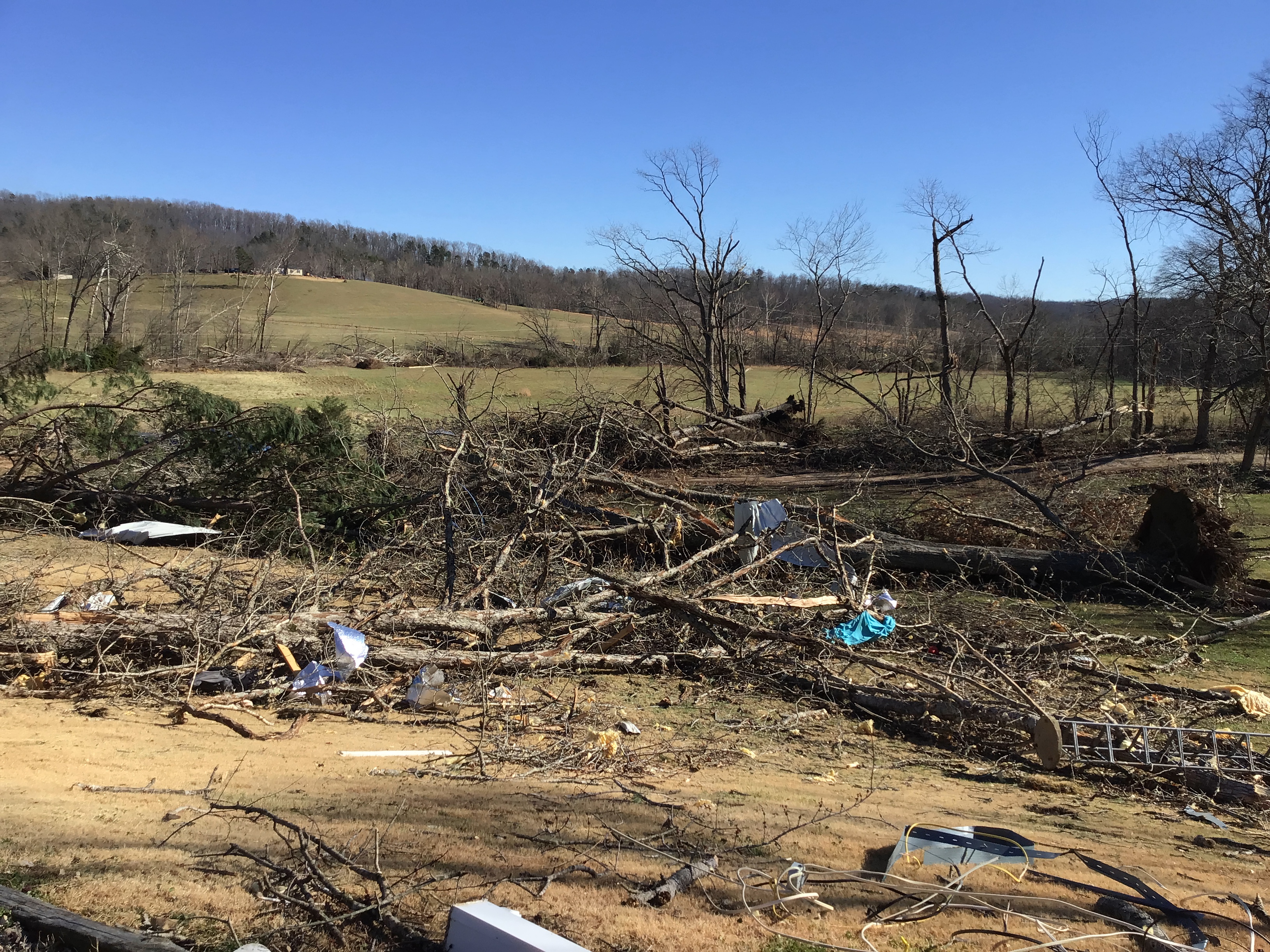 Numerous large trees snapped off near County Road 442.