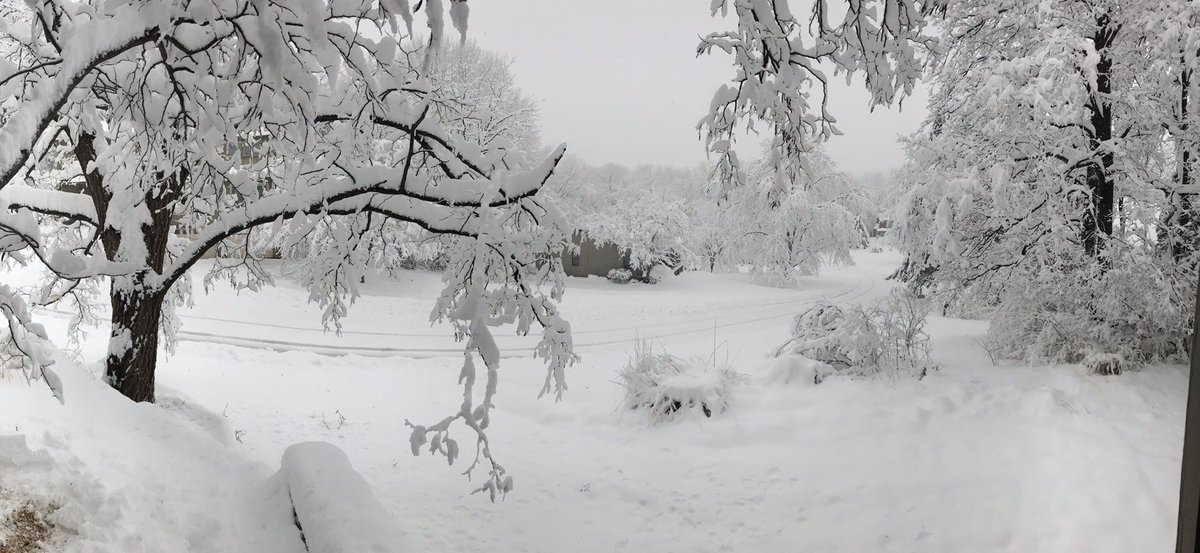 Photo of snow covered trees in central Missouri.