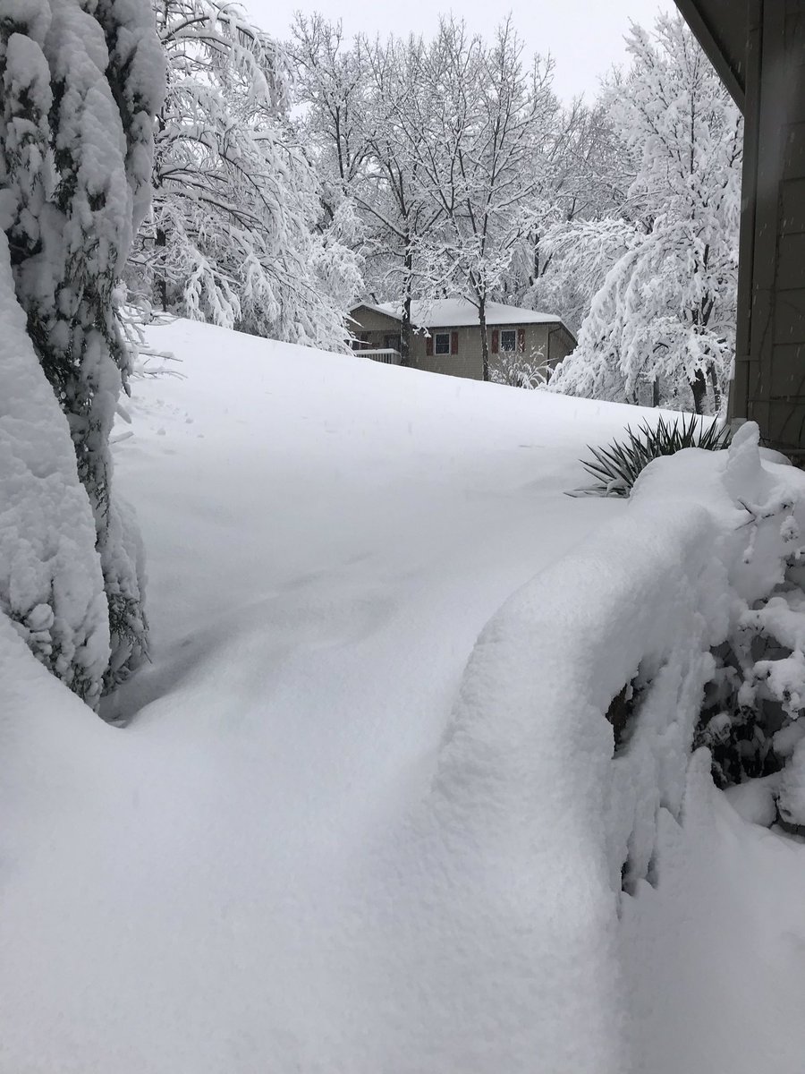 Photo of snow covered trees and yard in central Missouri.