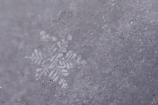Closeup photo of snowflakes near Hannibal, MO.