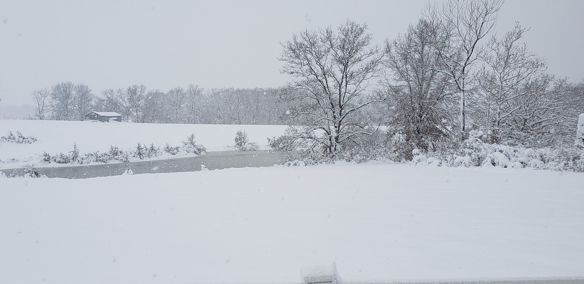 Photo of heavy snow near Columbia, MO.