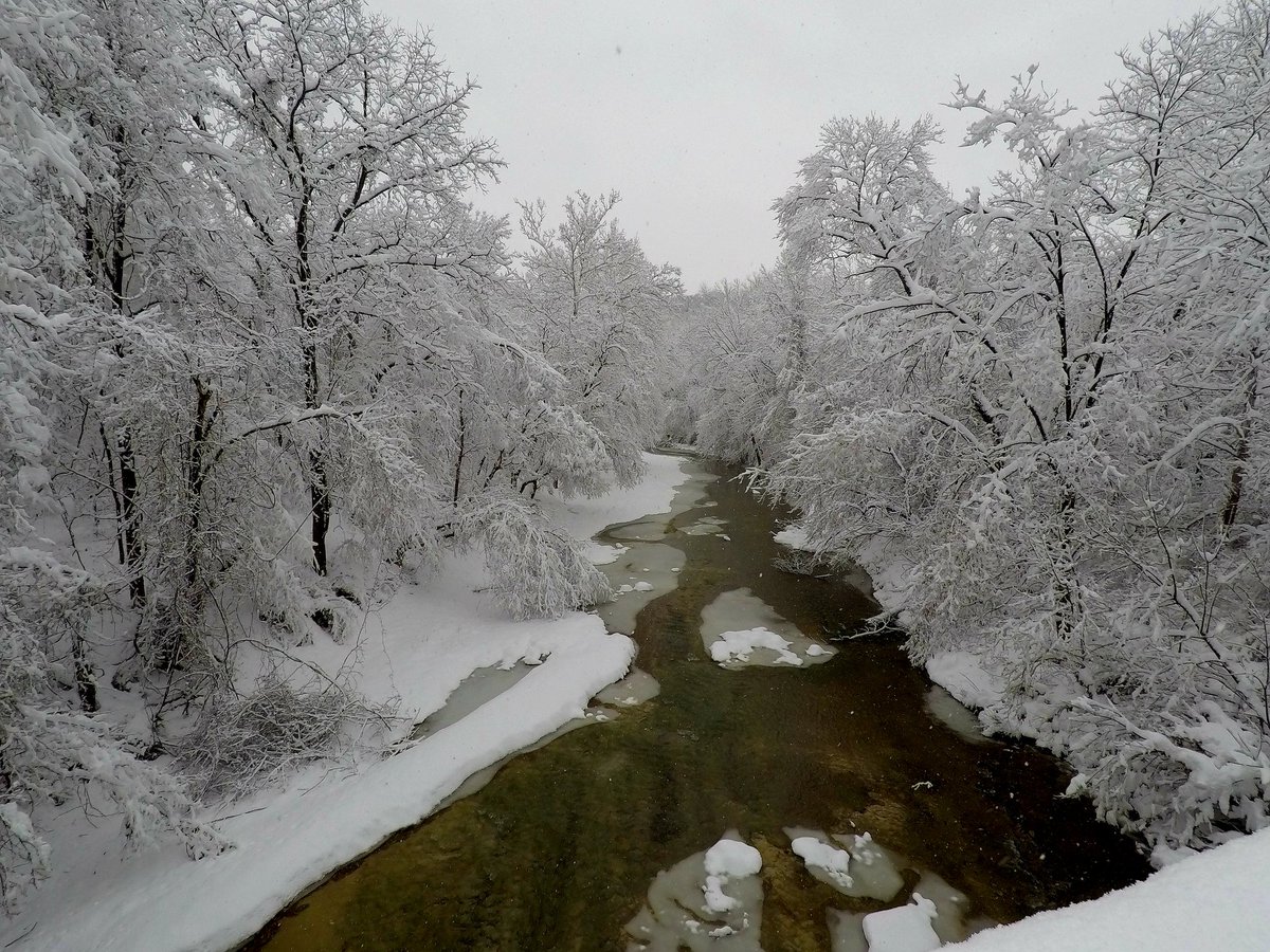 Photo of snow on trees along a creek near Columbia, MO.