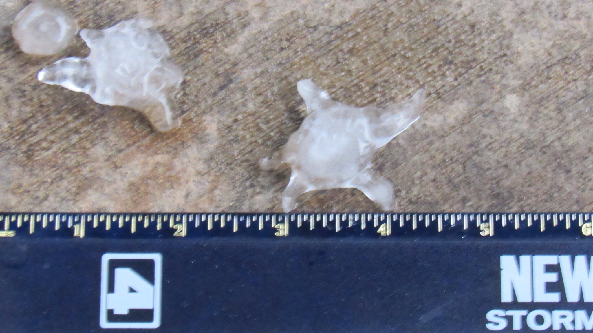 Hail measured to be 1.50 inches in diameter from O'Fallon, IL.