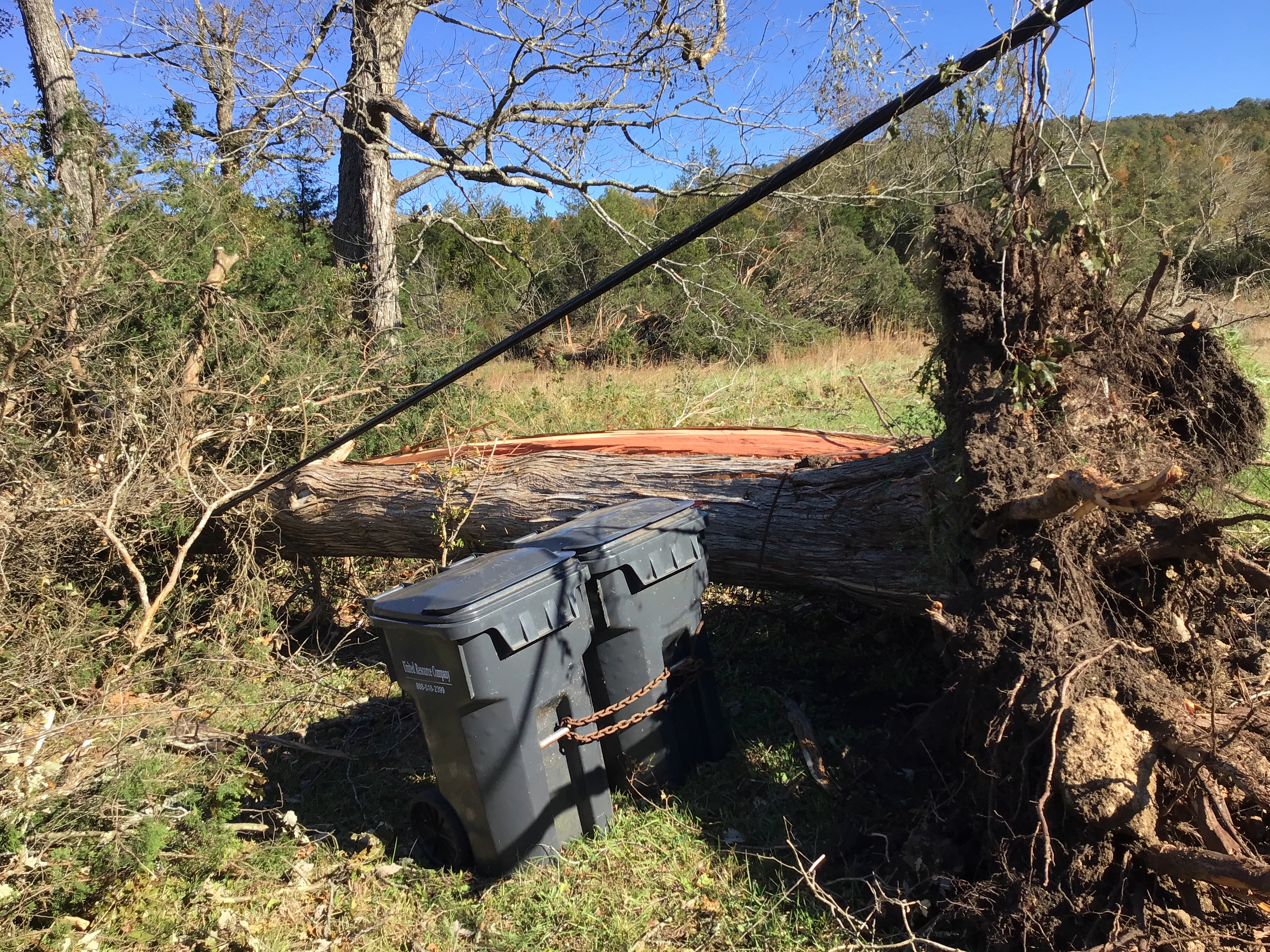 An exposed root ball from a tree takes up the right hand side of the photo. The trunk of the tree lies across the photo behind a pair of gray trashcans.