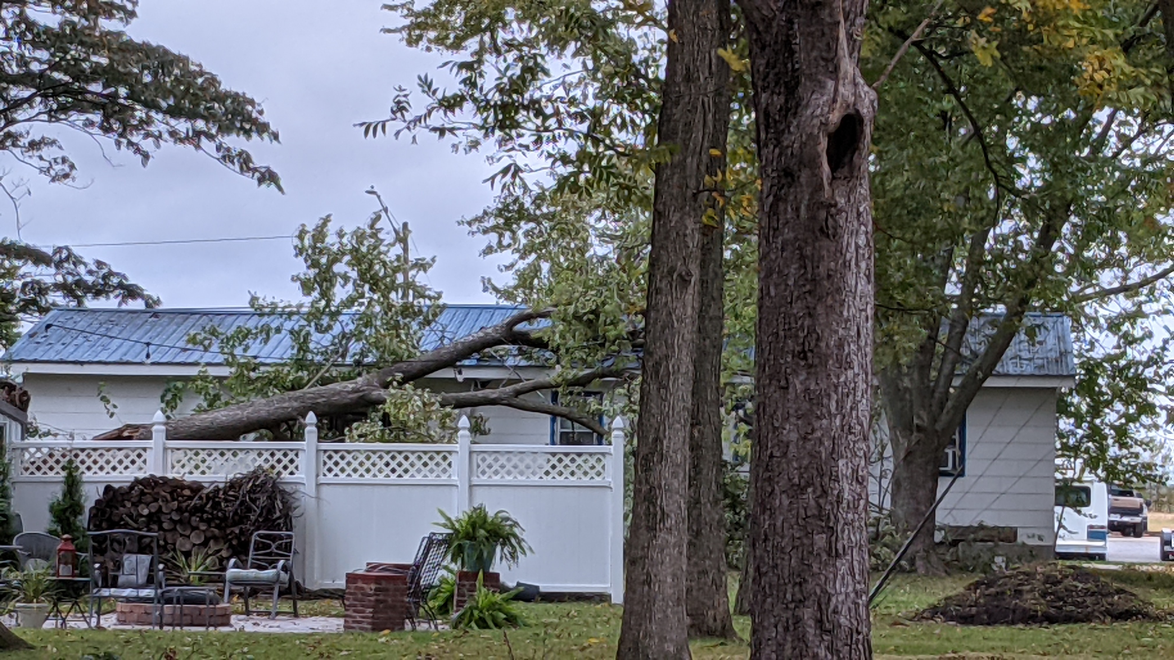 Tree has fallen onto a house that is obscured by a tall white plastic fence.