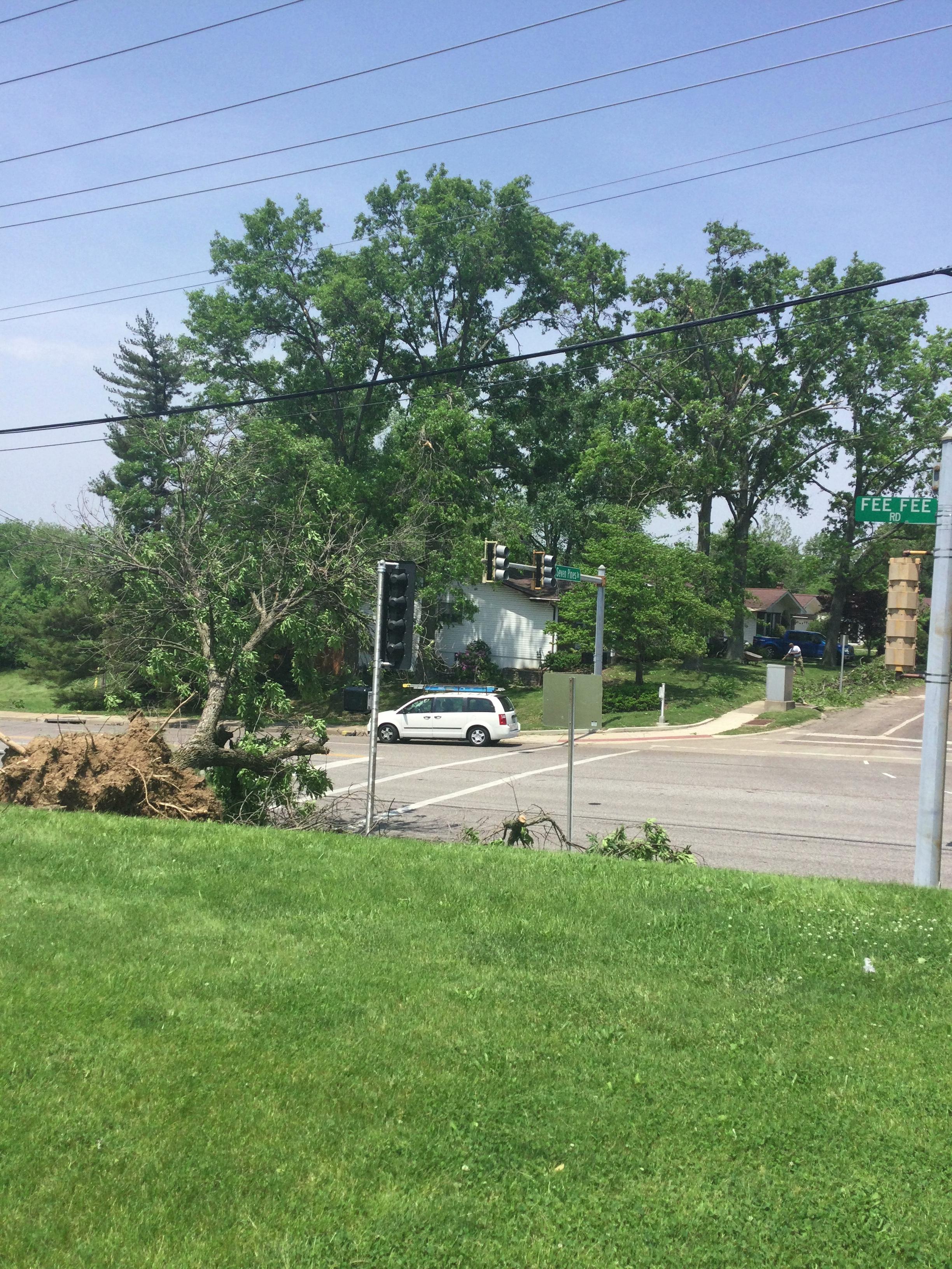 An uprooted tree at the intersection of Seven Pines Drive and Fee Fee Road.