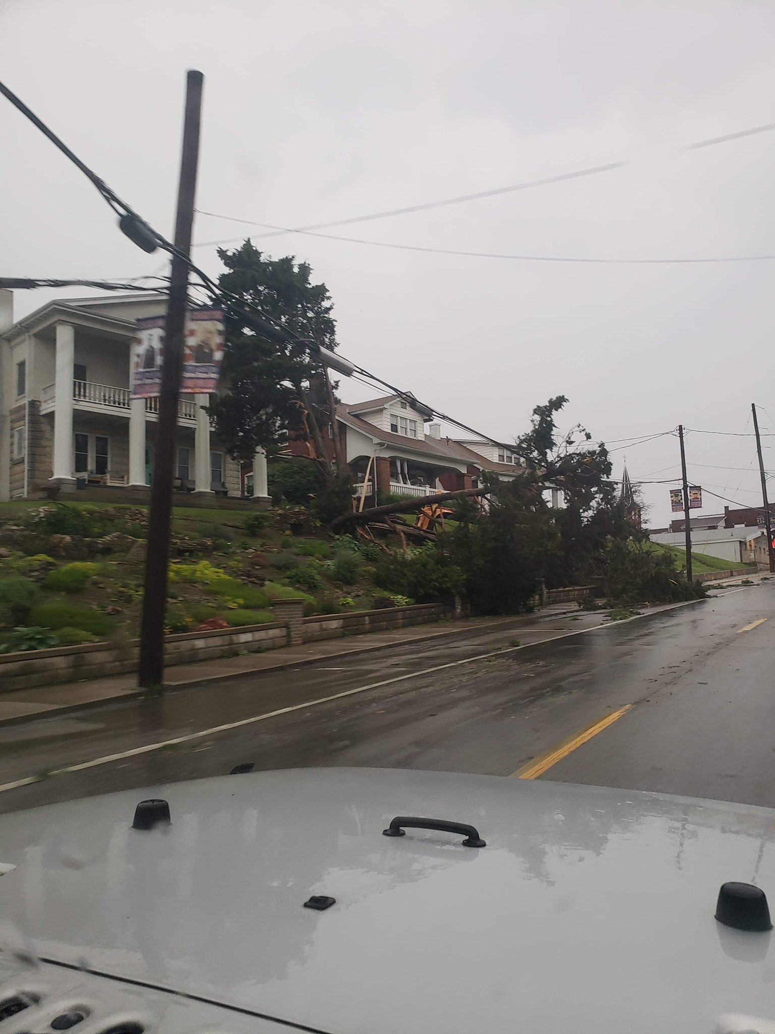 Large tree snapped and fell across powerlines near Chester, IL.