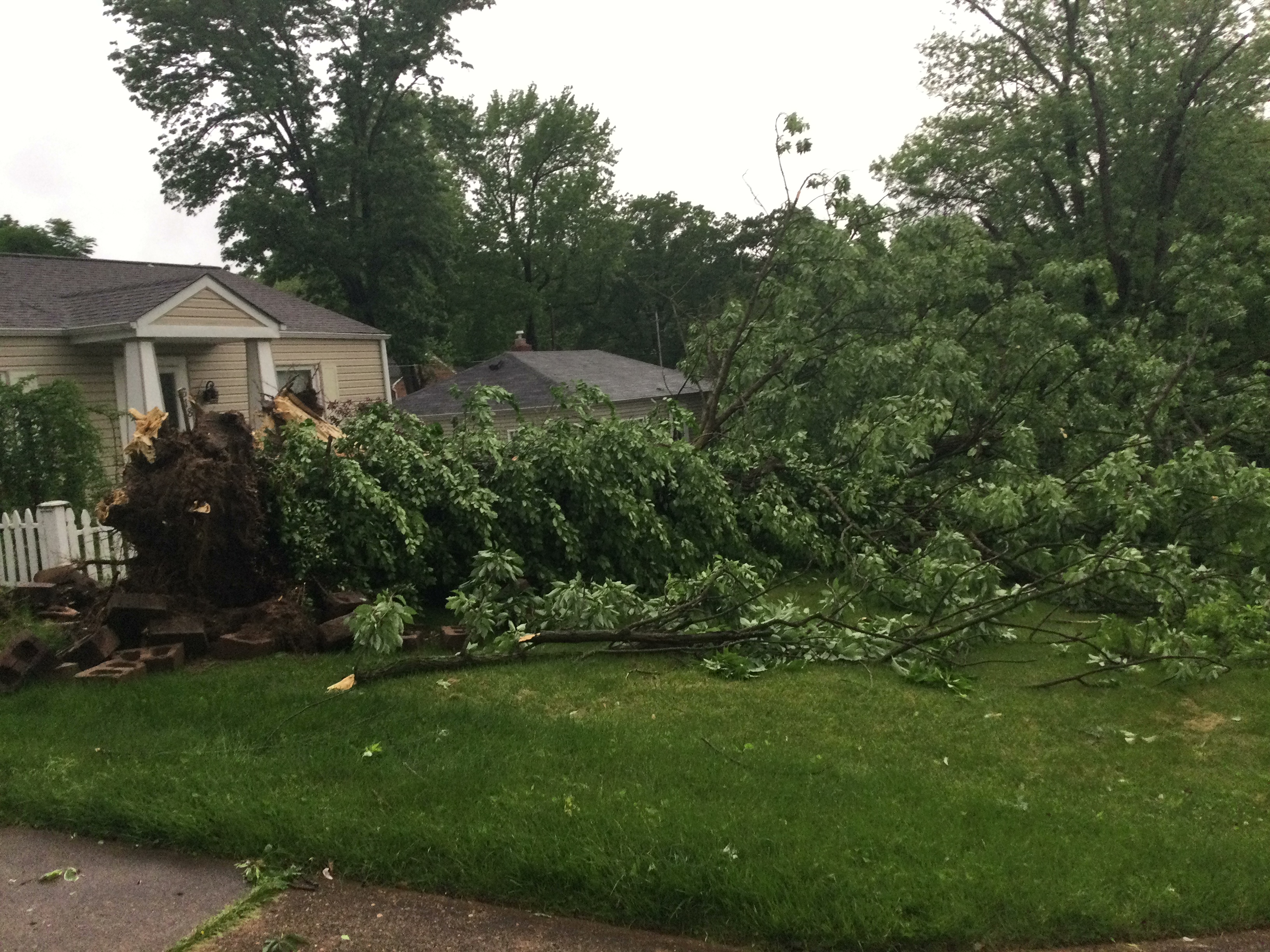 An uprooted tree in front of a house in Glendale.