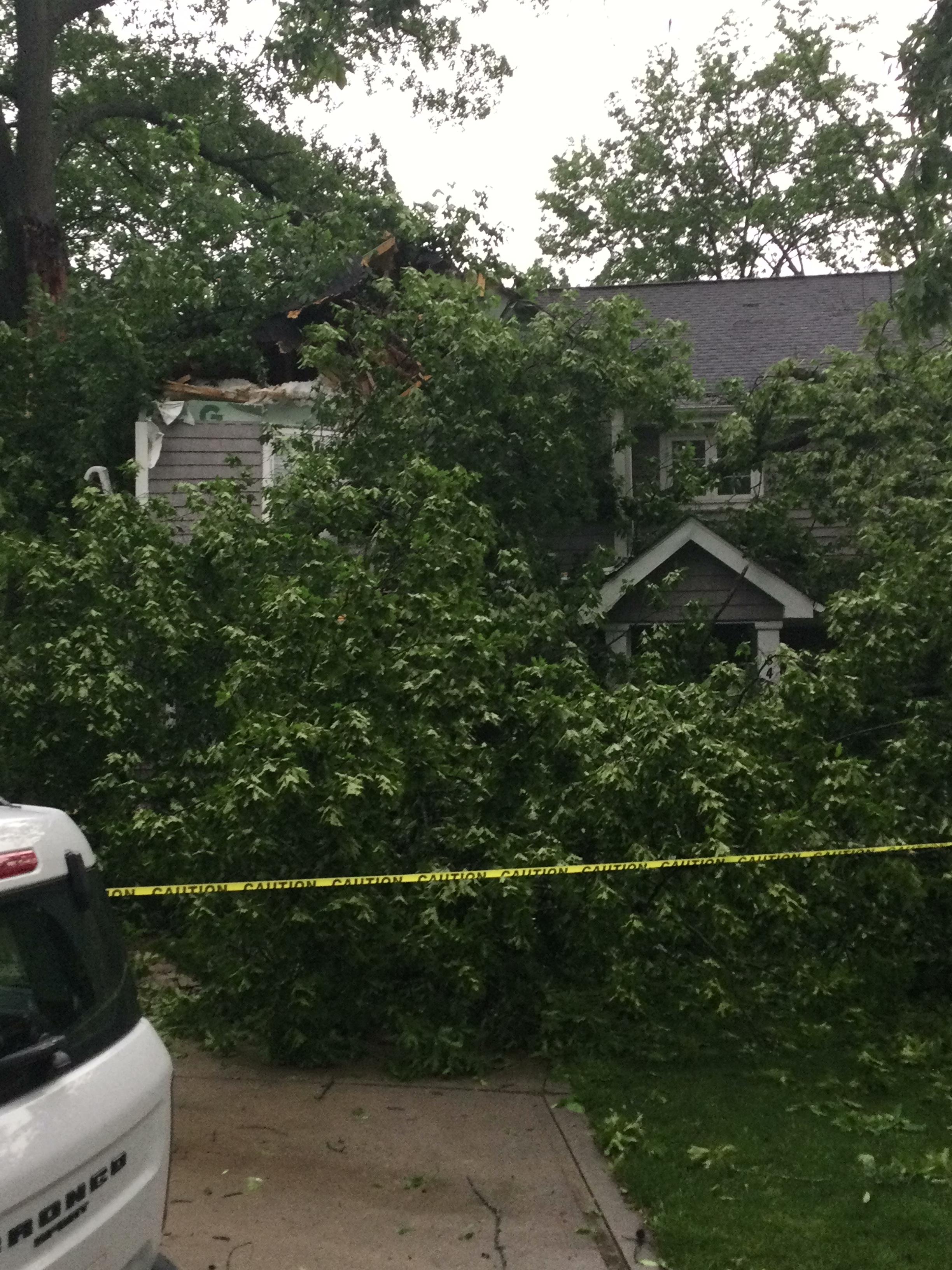 A tree branch that fell on a house in Kirkwood.