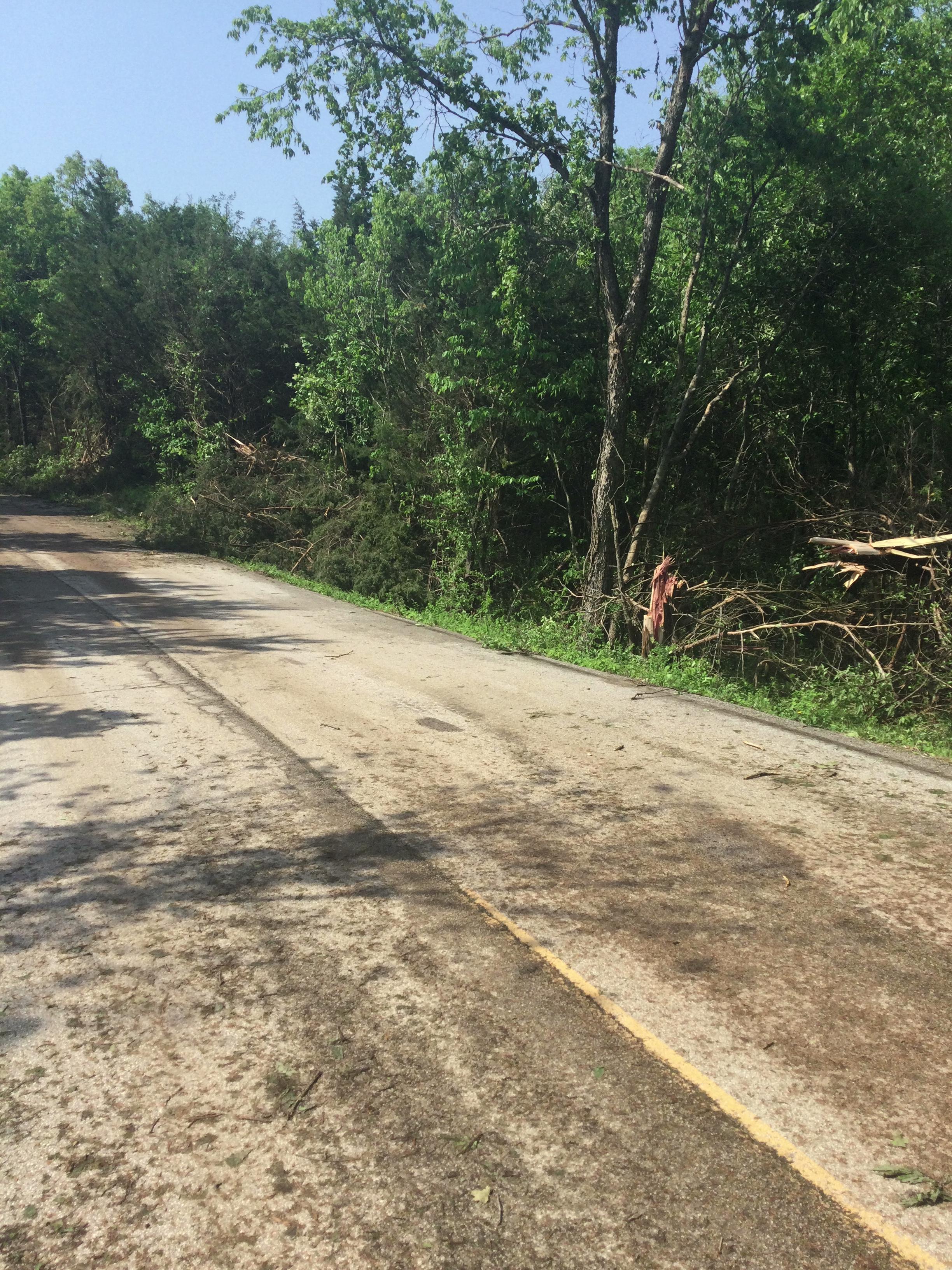 Snapped trees and branches along the side of Little Creek Road south of Leslie Missouri.