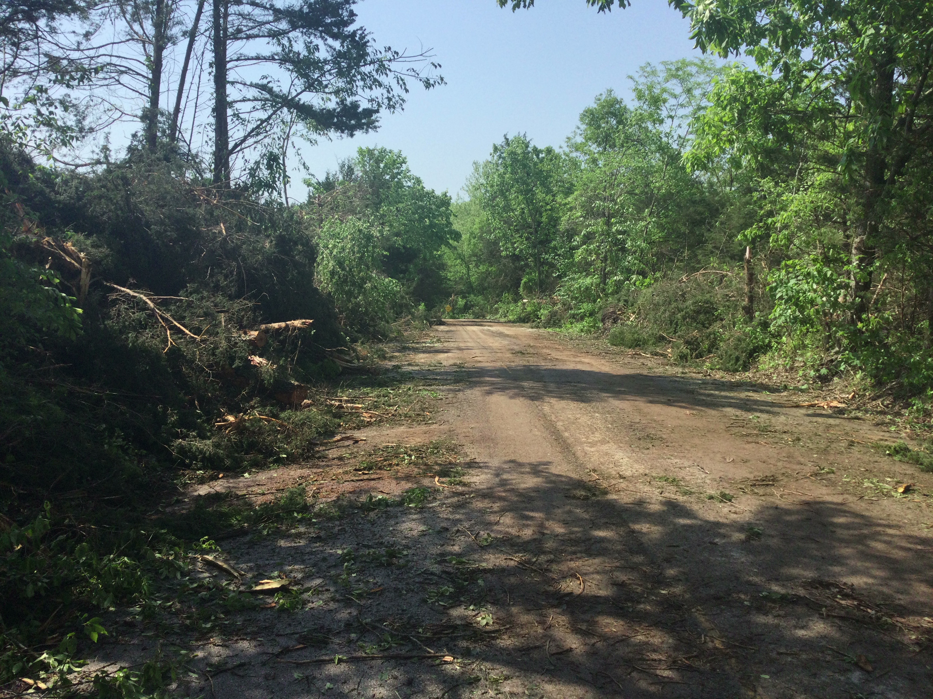 Several snapped trees and branches along the side of Little Creek Road south of Leslie Missouri. 