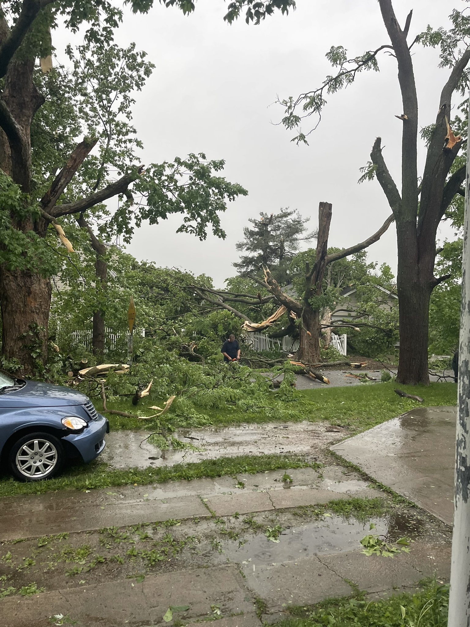 Several large limbs were snapped off multiple trees. A few of the largest branches landed on a garage on residential property in Chester, IL.