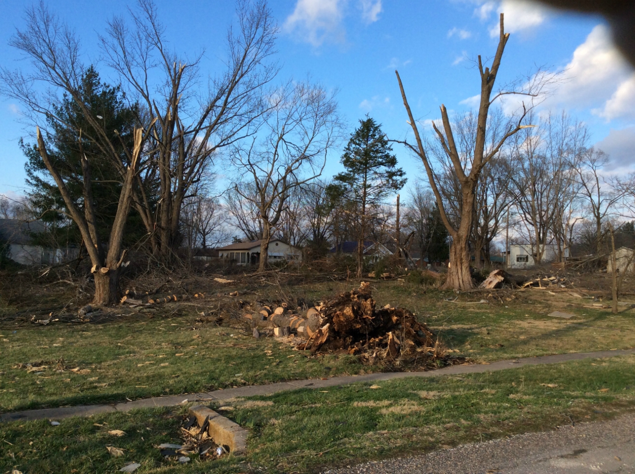 Photo of several trees either split or snapped off on West 3rd Street.