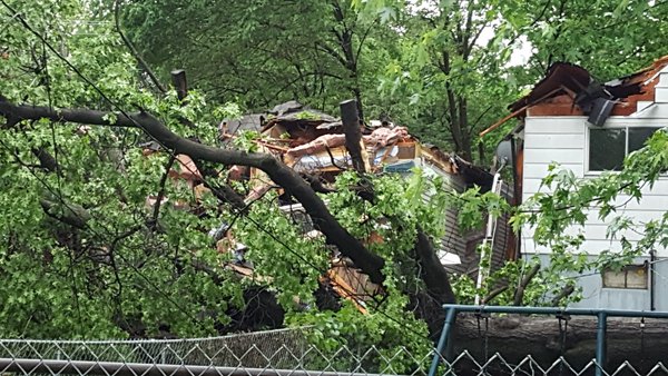 Photo of wind damage in St. Louis, MO.