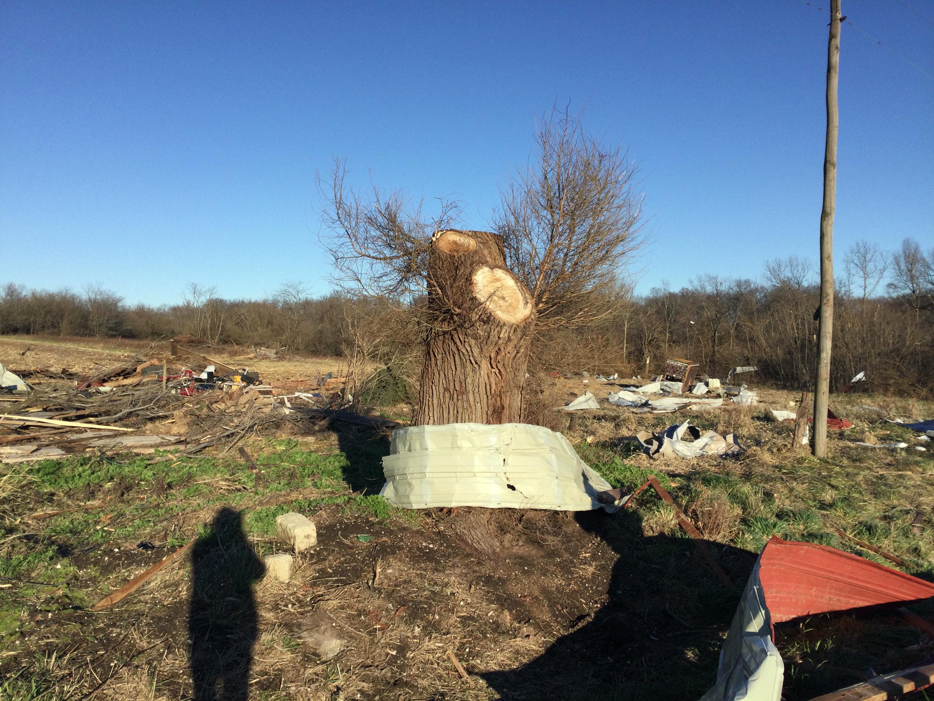 Debris from a farm blown down wind of the tornado path.