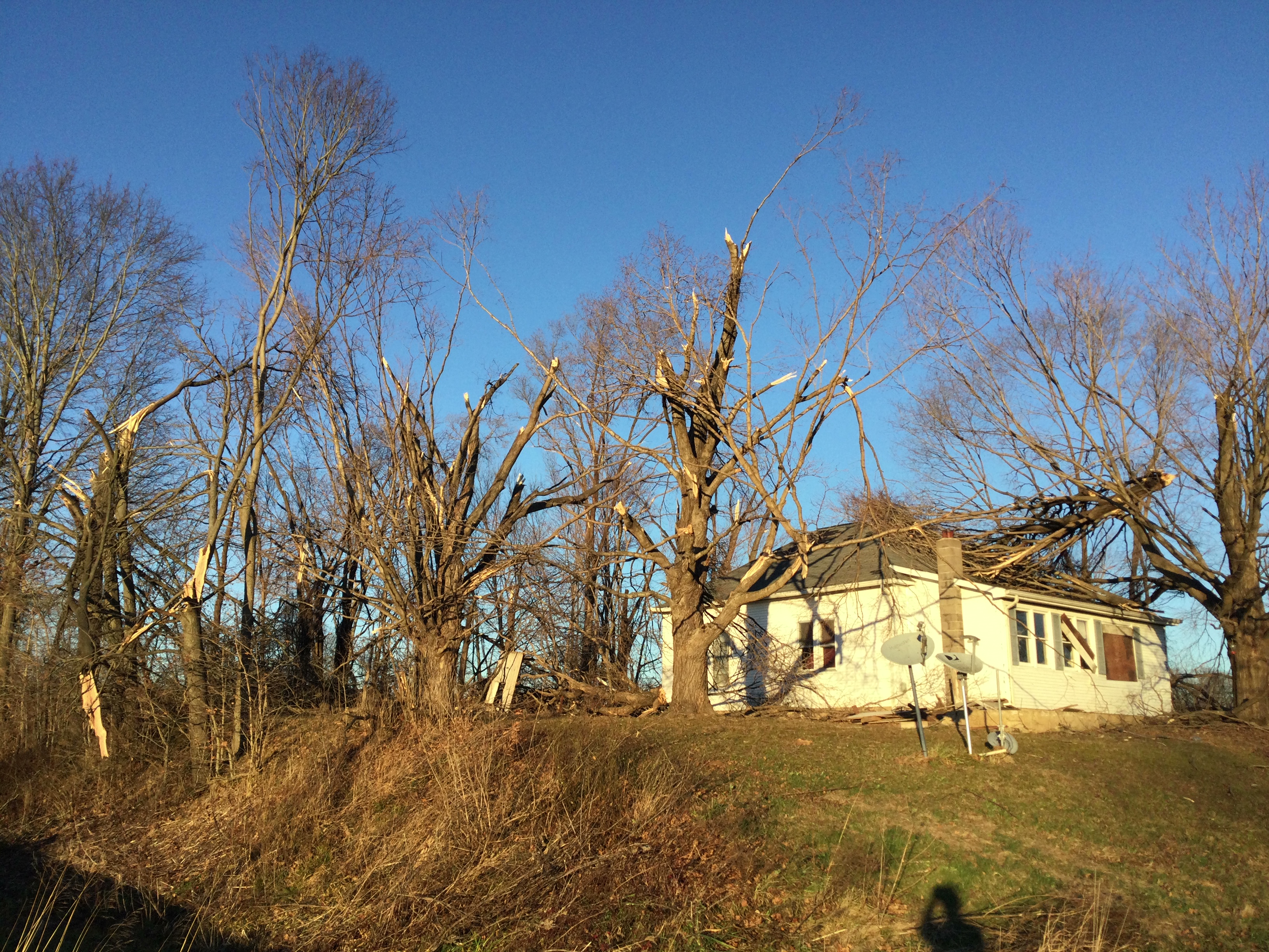 Tree damage with some of the branches landing on the roof of a home in northwest Fayette County in Illinois.